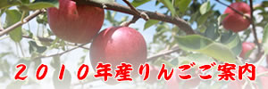 20�N�x�Y��񂲂��ē�