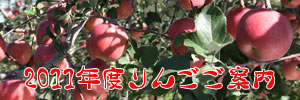 20�N�x�Y��񂲂��ē�